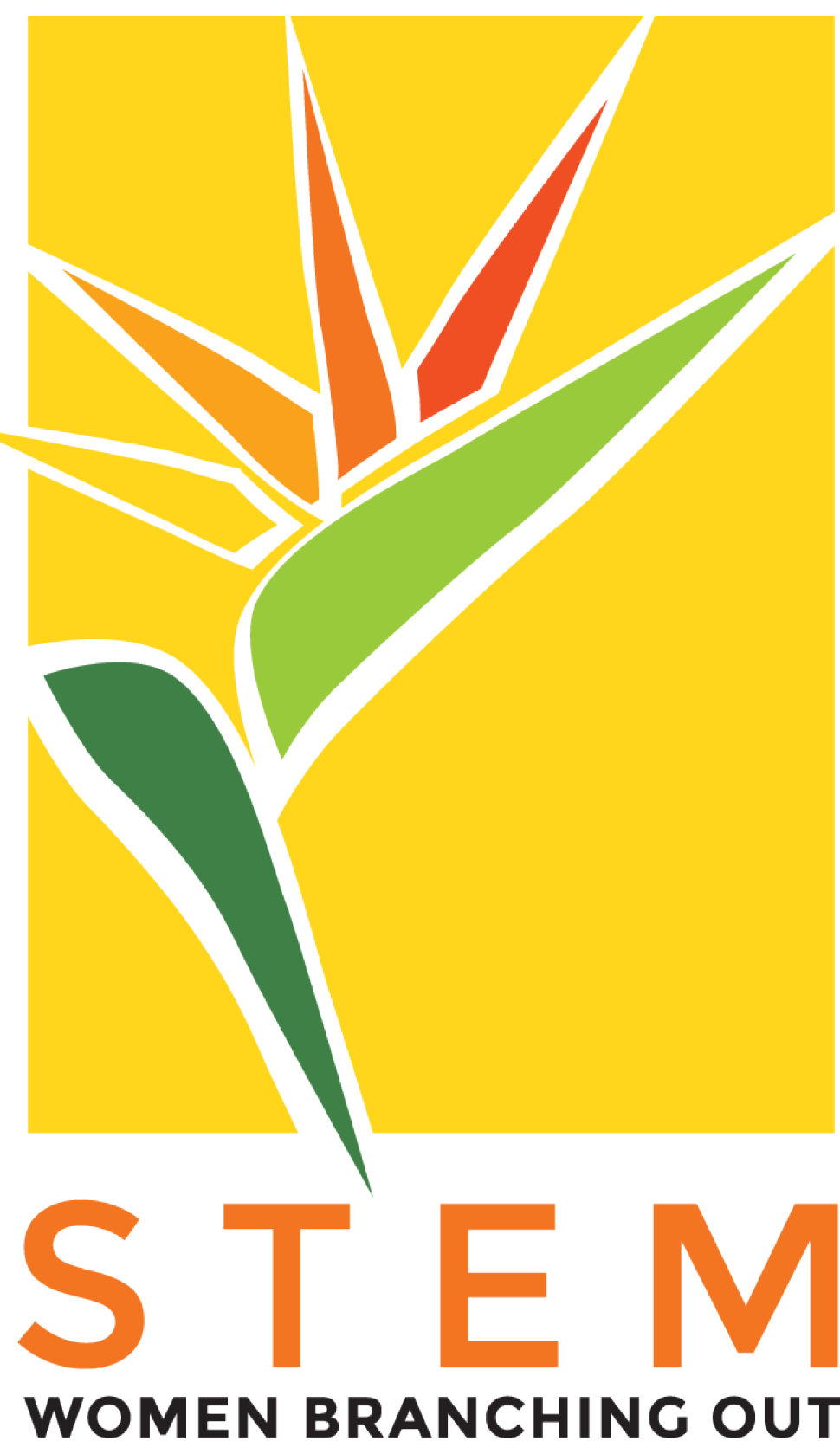stemwomen-branchingout-logo.png