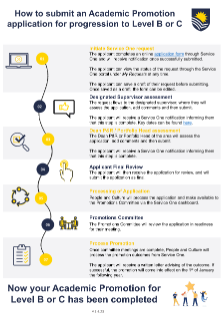 Academic Promotions Infographic - Level B or Level C