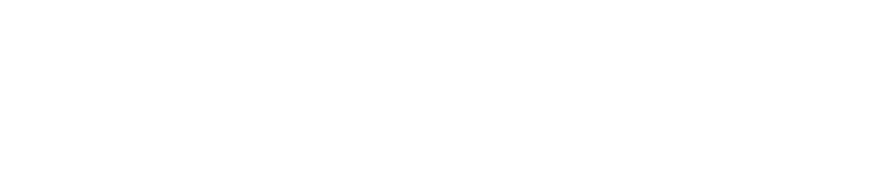 Jeff Bleich Centre for the US Alliance in Digital Technology, Security & Governance
