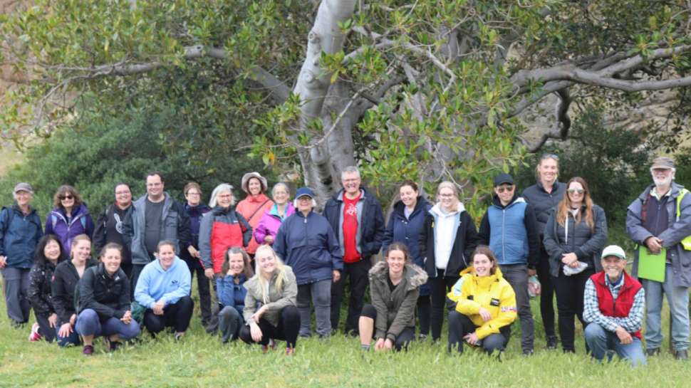 Little Penguin census group on Granite Island in 2020